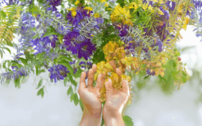 Nurturing Positivity in Life: How to Cultivate a Brighter Tomorrow